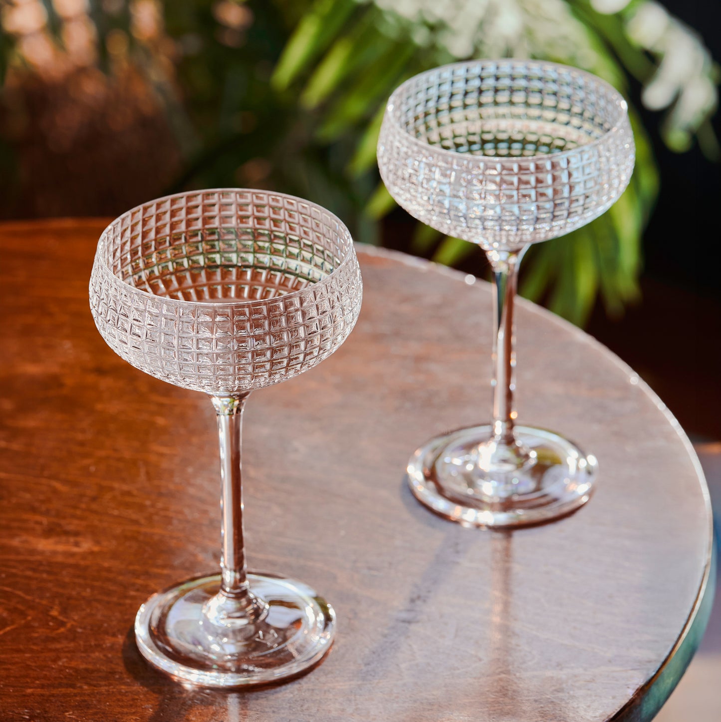 ACRYLIC BEATRICE COUPE – 7oz (207ml) / ACRYLIC / CASE OF 24
